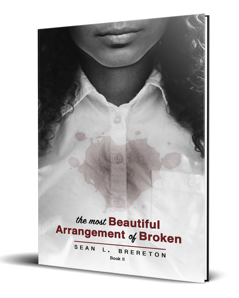 The Most Beautiful Arrangement of Broken: Book II (The Most Beautiful Arrangement of Broken Series)