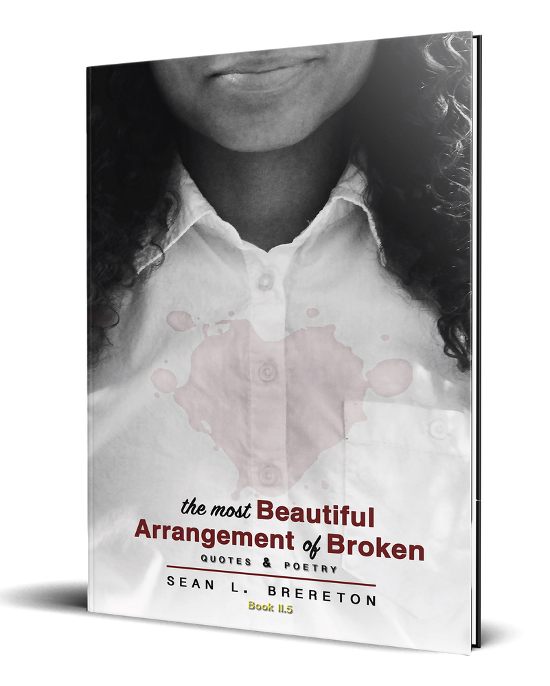 The Most Beautiful Arrangement of Broken: quotes & poetry (Book II.5)