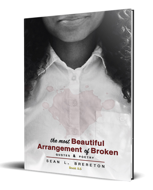 The Most Beautiful Arrangement of Broken: quotes & poetry (Book II.5)